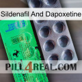 Sildenafil And Dapoxetine new04